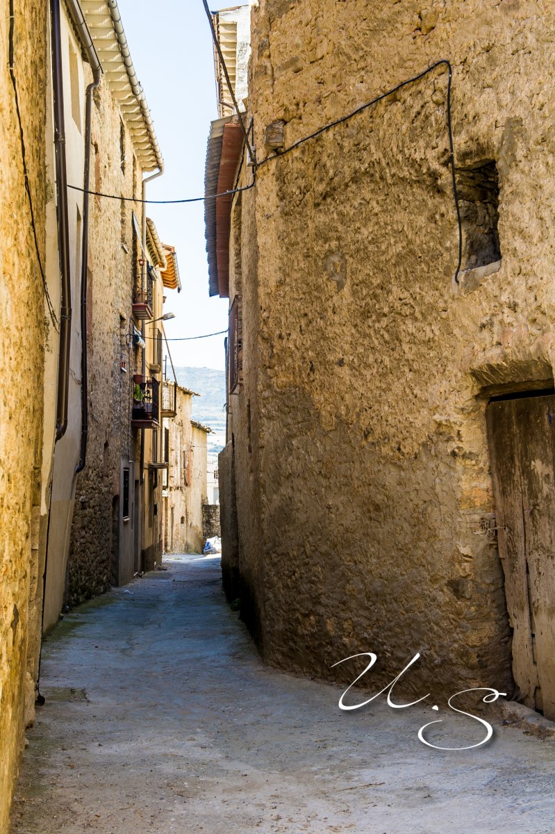 DSC_2039